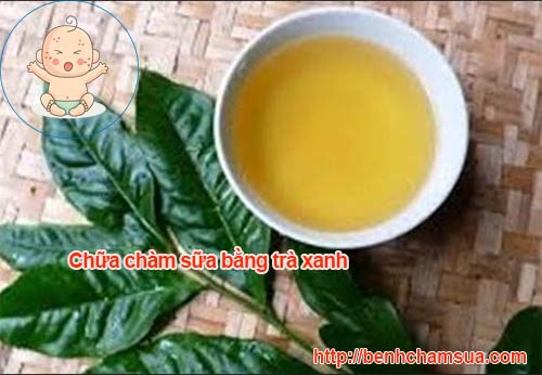 Lá chè xanh rất tốt trong việc điều trị bệnh chàm - chữa chàm sữa theo phương pháp dân gian