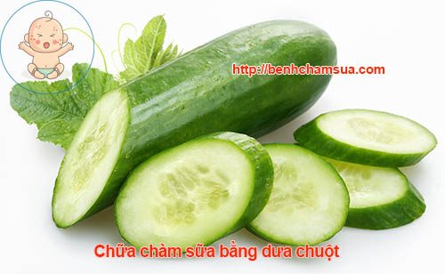 Dưa chuột - Lá ổi - chữa trị chàm theo phương pháp dân gian